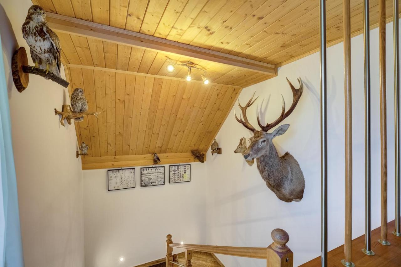 Apartamenty Szwarcowa Tylicz Esterno foto